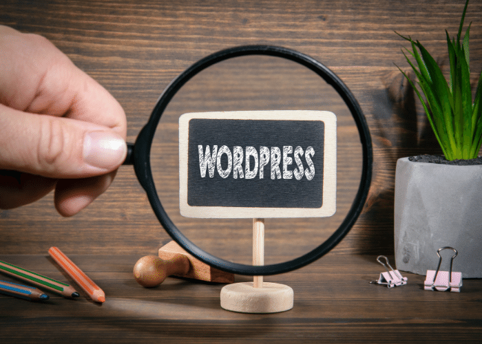 Wordpress Site Nasıl Anlaşılır?